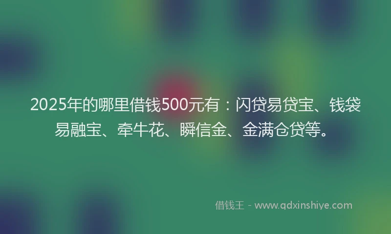 2025年的哪里借钱500元有：闪贷易贷宝、钱袋易融宝、牵牛花、瞬信金、金满仓贷等。
