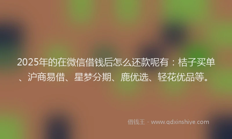 2025年的在微信借钱后怎么还款呢有：桔子买单、沪商易借、星梦分期、鹿优选、轻花优品等。