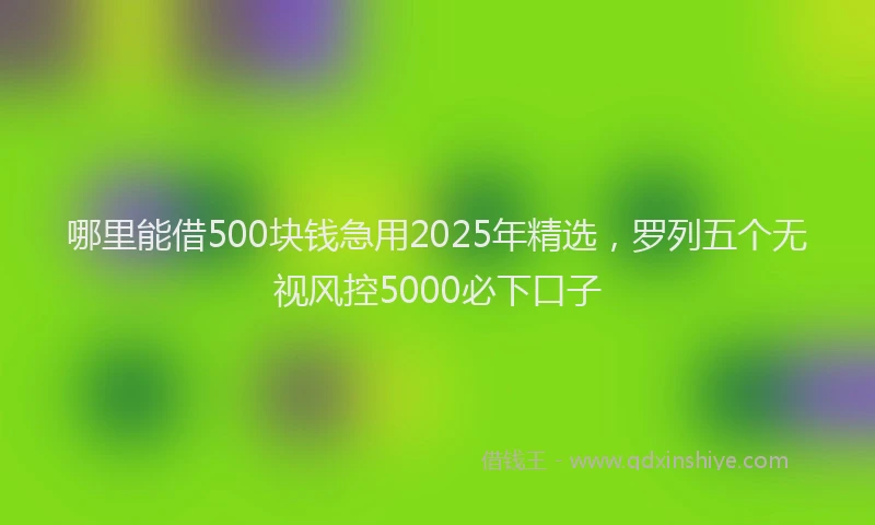哪里能借500块钱急用2025年精选，罗列五个无视风控5000必下口子