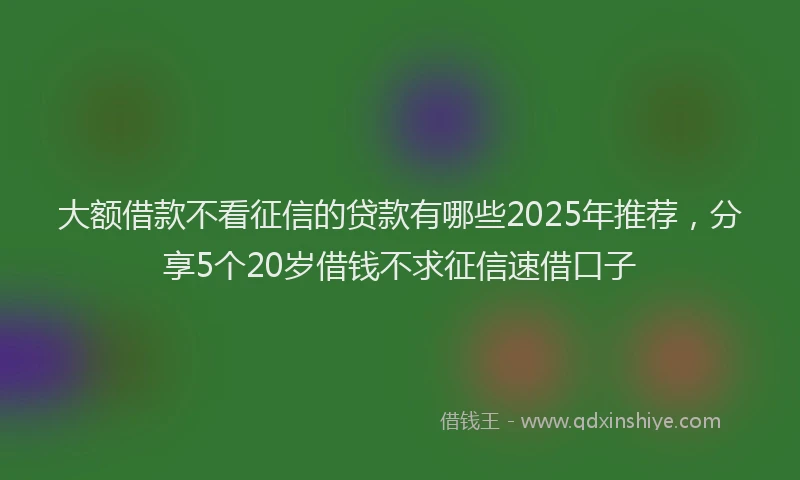 大额借款不看征信的贷款有哪些2025年推荐，分享5个20岁借钱不求征信速借口子