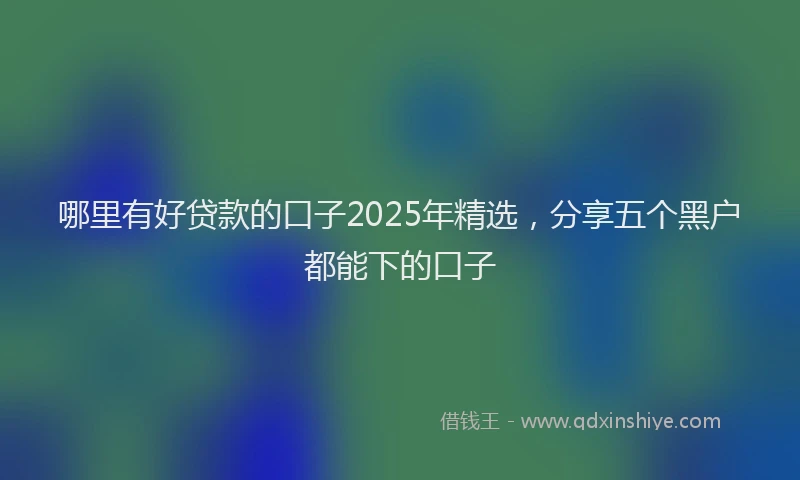 哪里有好贷款的口子2025年精选，分享五个黑户都能下的口子