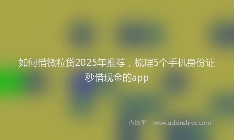 如何借微粒贷2025年推荐，梳理5个手机身份证秒借现金的app