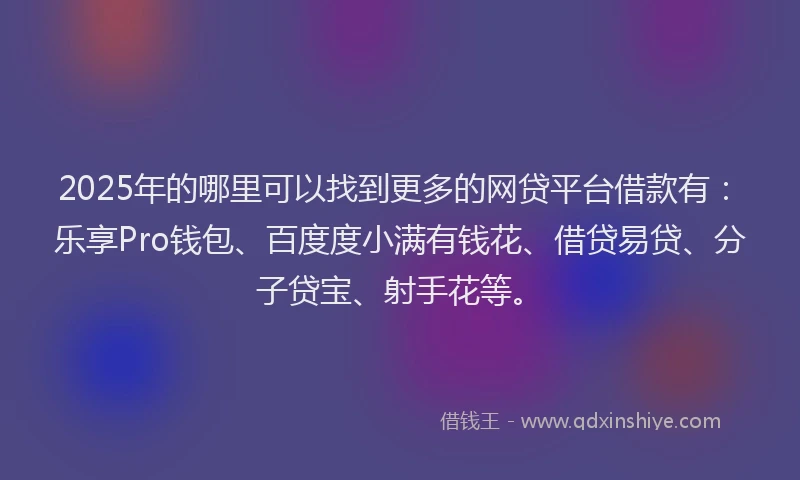2025年的哪里可以找到更多的网贷平台借款有：乐享Pro钱包、百度度小满有钱花、借贷易贷、分子贷宝、射手花等。
