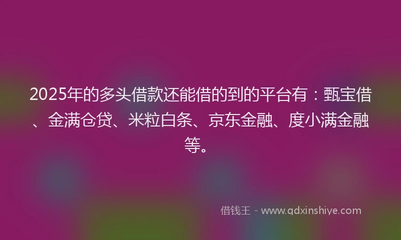 2025年的多头借款还能借的到的平台有：甄宝借、金满仓贷、米粒白条、京东金融、度小满金融等。