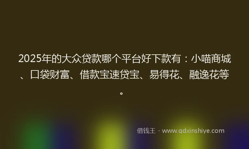 2025年的大众贷款哪个平台好下款有：小喵商城、口袋财富、借款宝速贷宝、易得花、融逸花等。