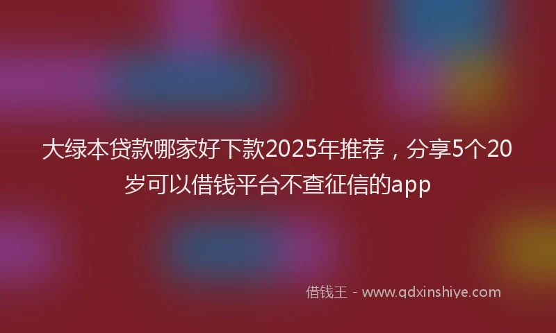 大绿本贷款哪家好下款2025年推荐，分享5个20岁可以借钱平台不查征信的app