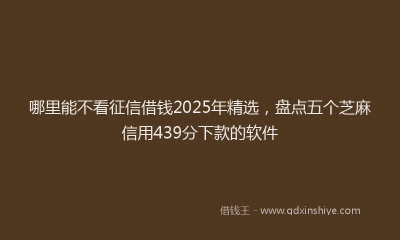 哪里能不看征信借钱2025年精选，盘点五个芝麻信用439分下款的软件