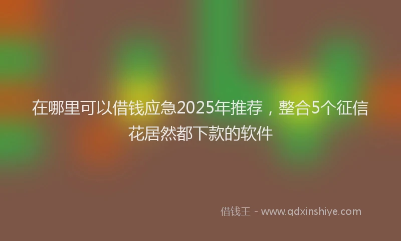 在哪里可以借钱应急2025年推荐，整合5个征信花居然都下款的软件