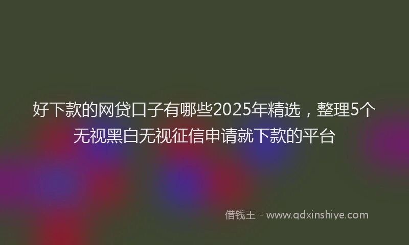 好下款的网贷口子有哪些2025年精选，整理5个无视黑白无视征信申请就下款的平台