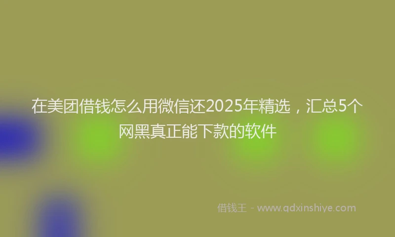 在美团借钱怎么用微信还2025年精选，汇总5个网黑真正能下款的软件