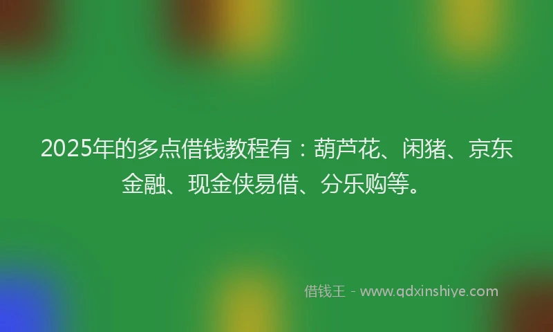 2025年的多点借钱教程有：葫芦花、闲猪、京东金融、现金侠易借、分乐购等。