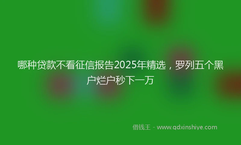 哪种贷款不看征信报告2025年精选，罗列五个黑户烂户秒下一万