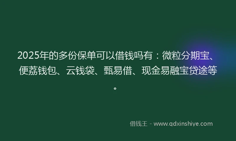 2025年的多份保单可以借钱吗有：微粒分期宝、便荔钱包、云钱袋、甄易借、现金易融宝贷途等。