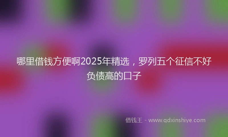 哪里借钱方便啊2025年精选，罗列五个征信不好负债高的口子