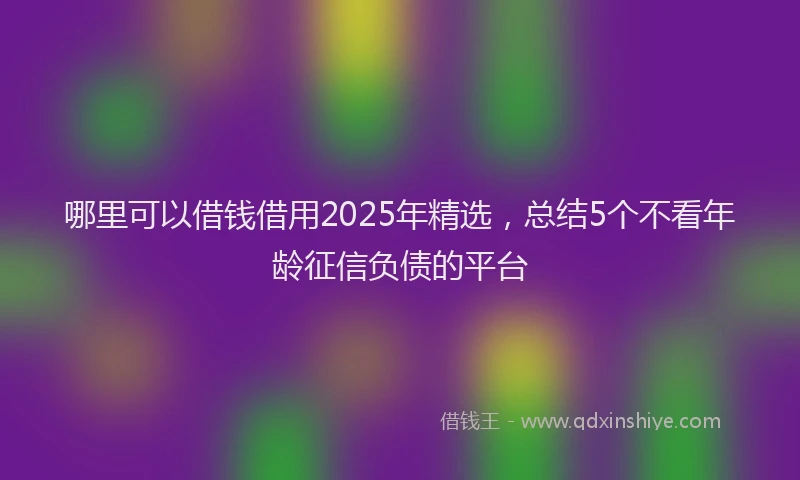 哪里可以借钱借用2025年精选，总结5个不看年龄征信负债的平台
