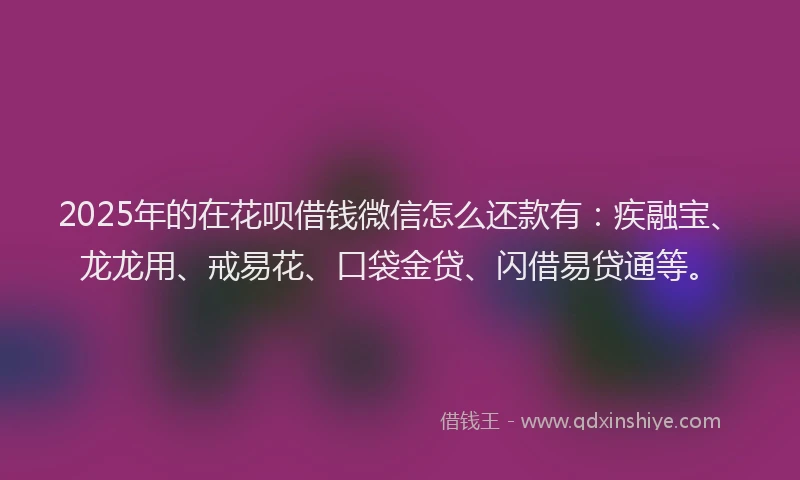 2025年的在花呗借钱微信怎么还款有：疾融宝、龙龙用、戒易花、口袋金贷、闪借易贷通等。