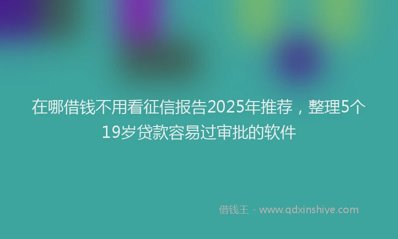 在哪借钱不用看征信报告2025年推荐，整理5个19岁贷款容易过审批的软件