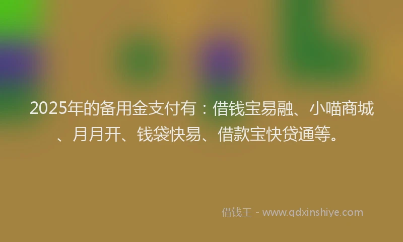 2025年的备用金支付有：借钱宝易融、小喵商城、月月开、钱袋快易、借款宝快贷通等。