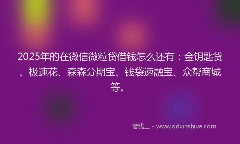 2025年的在微信微粒贷借钱怎么还有：金钥匙贷、极速花、森森分期宝、钱袋速融宝、众帮商城等。