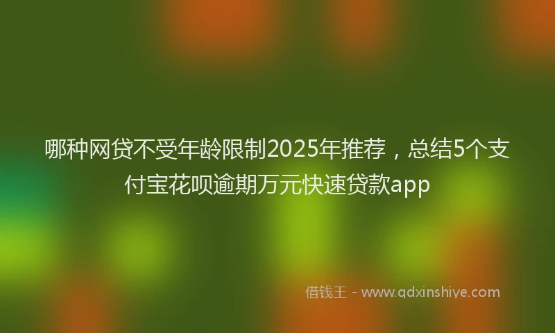 哪种网贷不受年龄限制2025年推荐，总结5个支付宝花呗逾期万元快速贷款app