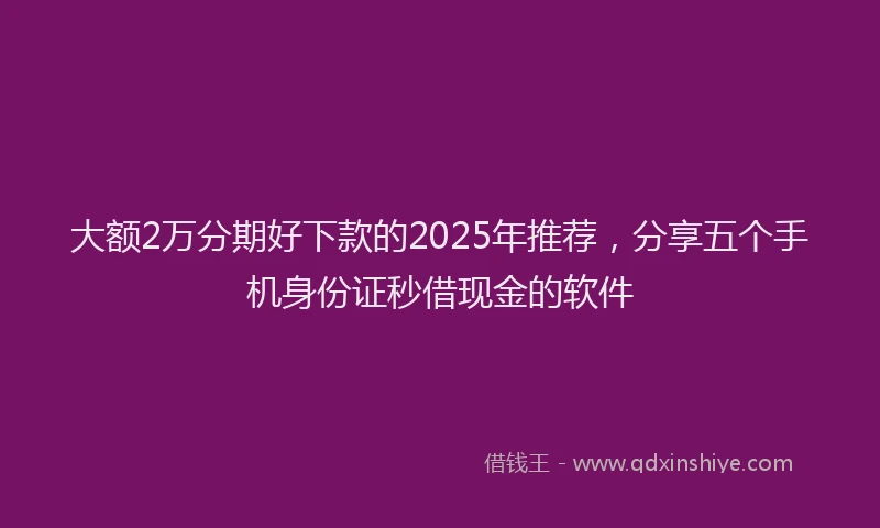 大额2万分期好下款的2025年推荐，分享五个手机身份证秒借现金的软件