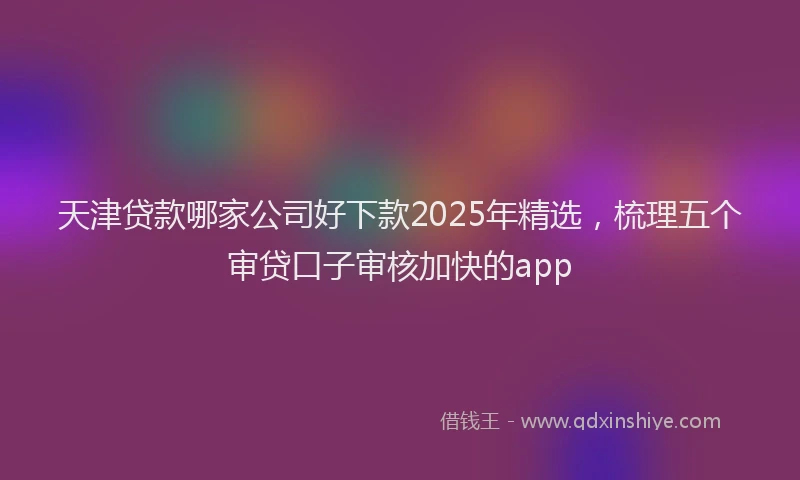 天津贷款哪家公司好下款2025年精选，梳理五个审贷口子审核加快的app