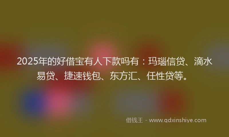 2025年的好借宝有人下款吗有：玛瑙信贷、滴水易贷、捷速钱包、东方汇、任性贷等。