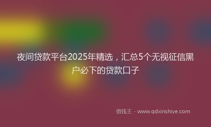 夜间贷款平台2025年精选，汇总5个无视征信黑户必下的贷款口子
