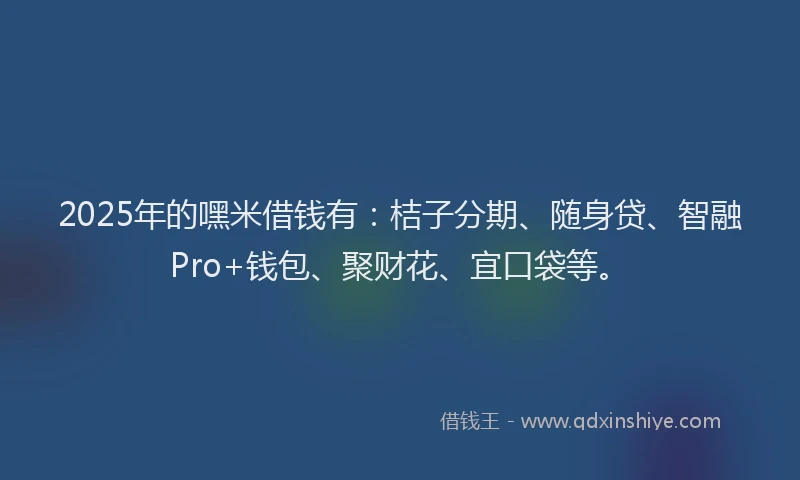 2025年的嘿米借钱有：桔子分期、随身贷、智融Pro+钱包、聚财花、宜口袋等。