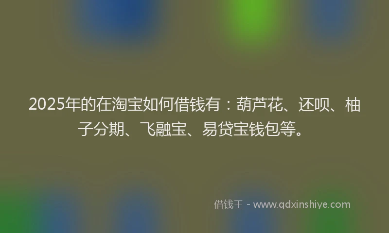 2025年的在淘宝如何借钱有：葫芦花、还呗、柚子分期、飞融宝、易贷宝钱包等。