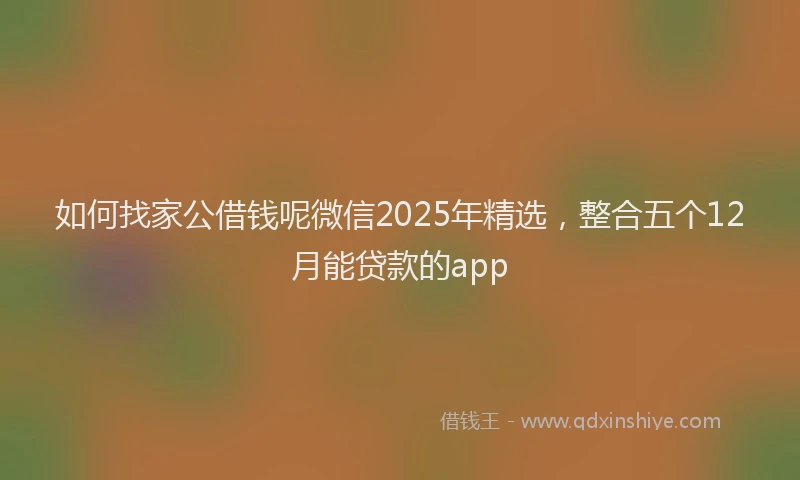 如何找家公借钱呢微信2025年精选，整合五个12月能贷款的app