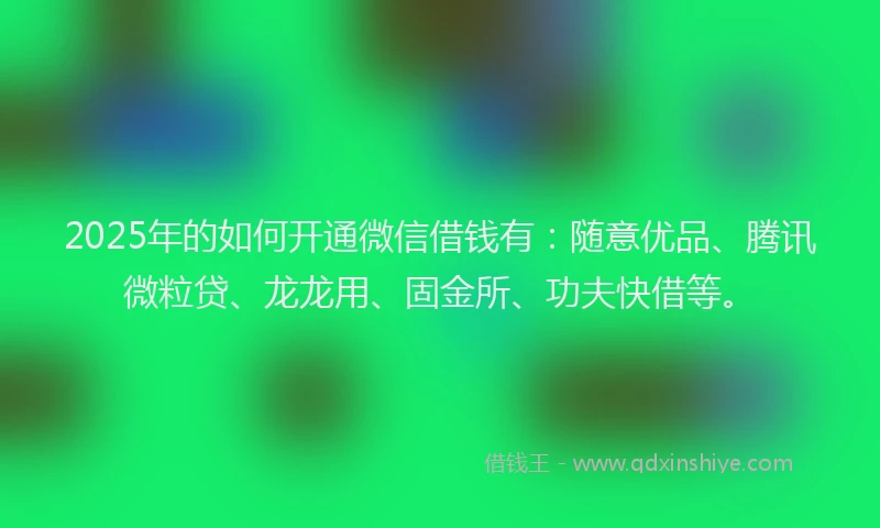 2025年的如何开通微信借钱有：随意优品、腾讯微粒贷、龙龙用、固金所、功夫快借等。