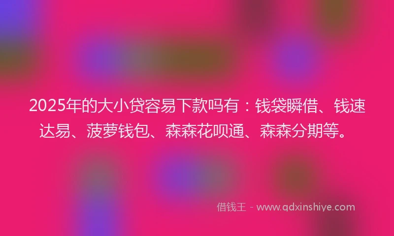2025年的大小贷容易下款吗有：钱袋瞬借、钱速达易、菠萝钱包、森森花呗通、森森分期等。