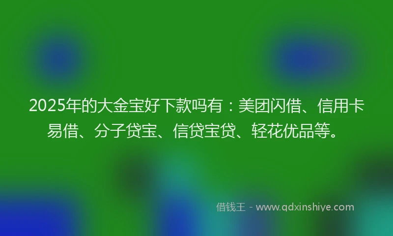 2025年的大金宝好下款吗有：美团闪借、信用卡易借、分子贷宝、信贷宝贷、轻花优品等。