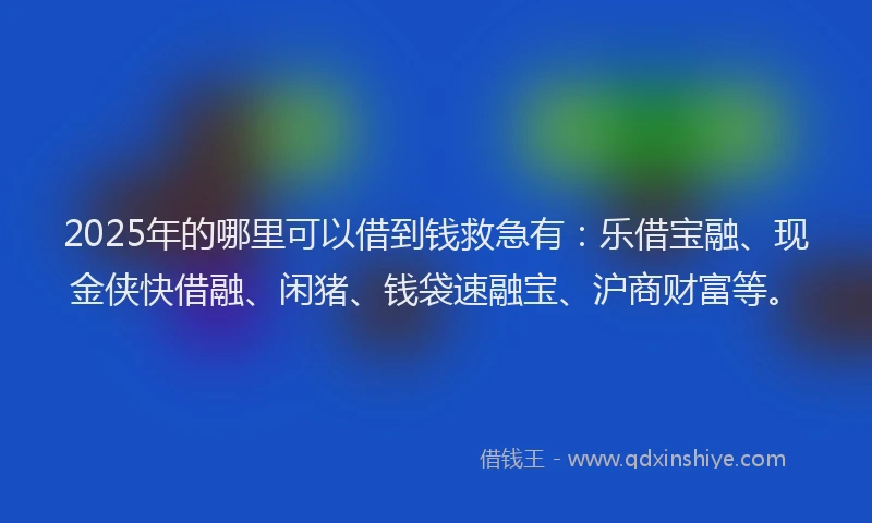 2025年的哪里可以借到钱救急有：乐借宝融、现金侠快借融、闲猪、钱袋速融宝、沪商财富等。