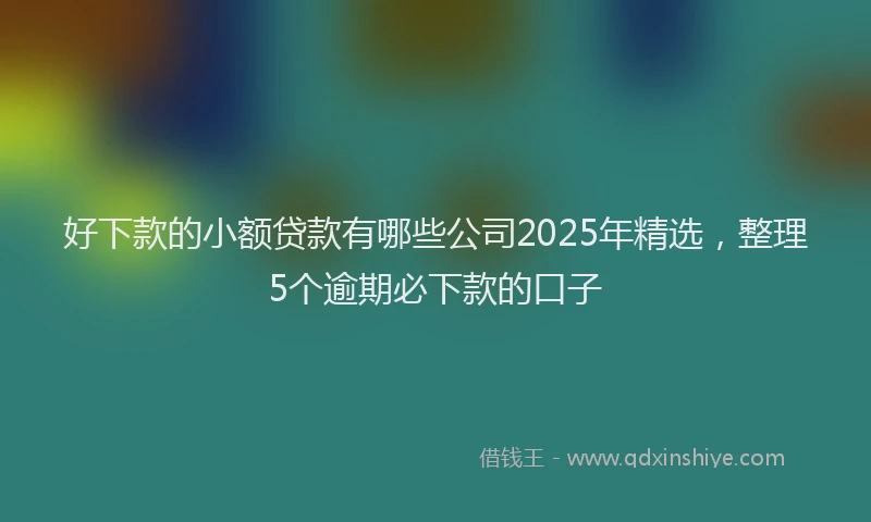 好下款的小额贷款有哪些公司2025年精选，整理5个逾期必下款的口子