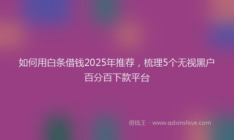如何用白条借钱2025年推荐，梳理5个无视黑户百分百下款平台