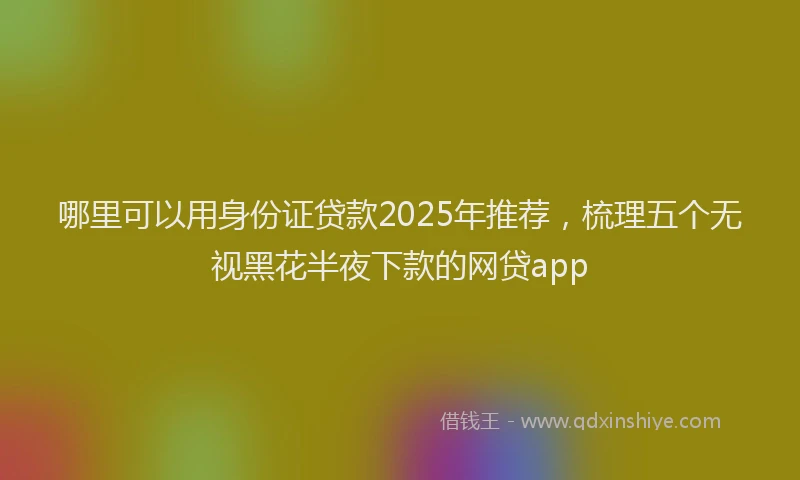哪里可以用身份证贷款2025年推荐，梳理五个无视黑花半夜下款的网贷app