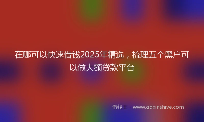 在哪可以快速借钱2025年精选，梳理五个黑户可以做大额贷款平台