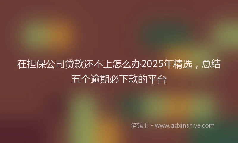 在担保公司贷款还不上怎么办2025年精选，总结五个逾期必下款的平台