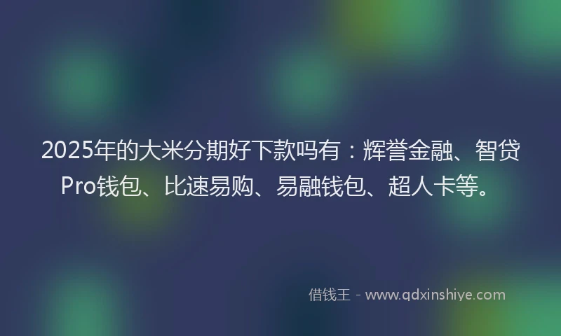 2025年的大米分期好下款吗有：辉誉金融、智贷Pro钱包、比速易购、易融钱包、超人卡等。