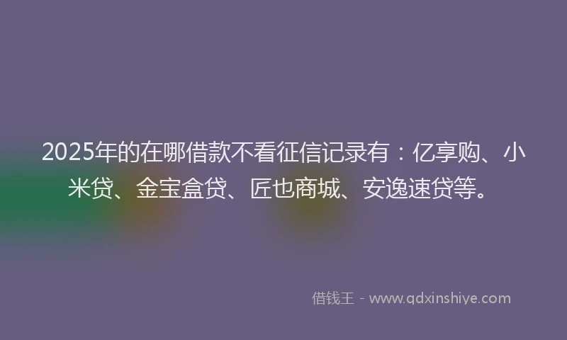 2025年的在哪借款不看征信记录有：亿享购、小米贷、金宝盒贷、匠也商城、安逸速贷等。