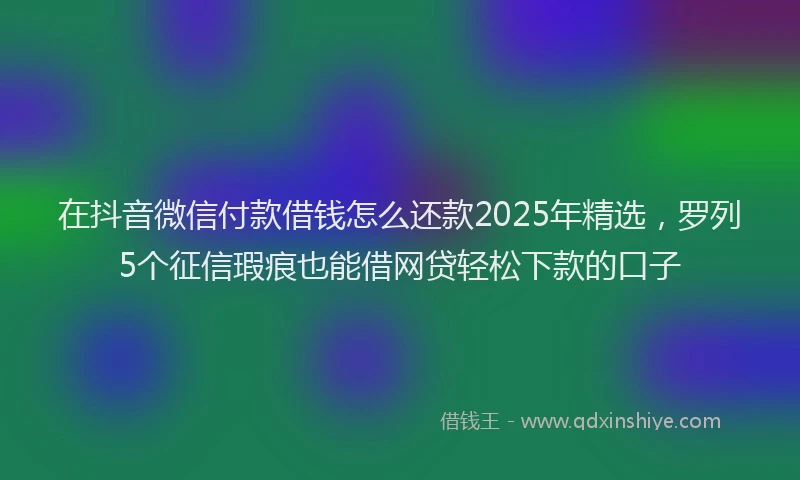 在抖音微信付款借钱怎么还款2025年精选，罗列5个征信瑕疵也能借网贷轻松下款的口子