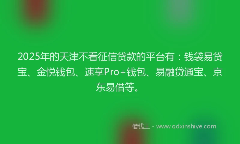 2025年的天津不看征信贷款的平台有：钱袋易贷宝、金悦钱包、速享Pro+钱包、易融贷通宝、京东易借等。