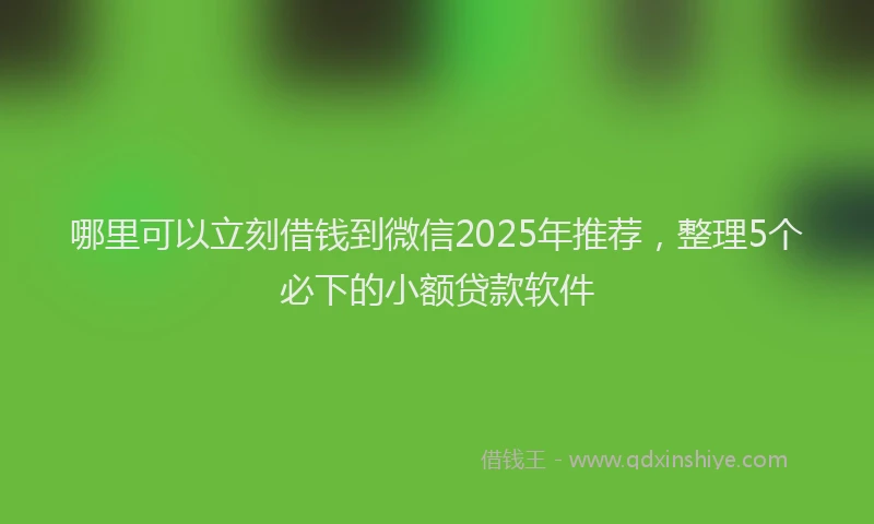 哪里可以立刻借钱到微信2025年推荐，整理5个必下的小额贷款软件