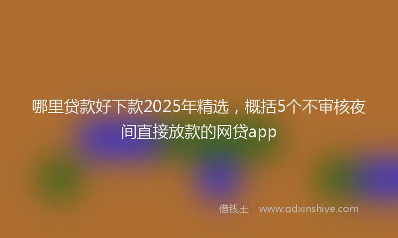 哪里贷款好下款2025年精选，概括5个不审核夜间直接放款的网贷app