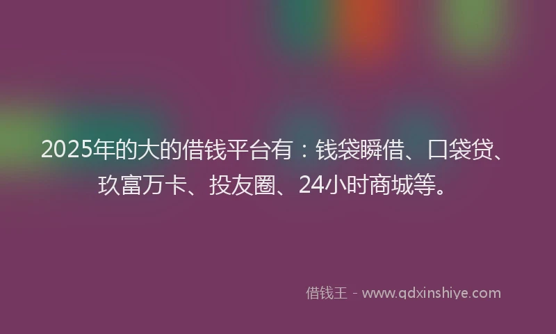 2025年的大的借钱平台有：钱袋瞬借、口袋贷、玖富万卡、投友圈、24小时商城等。