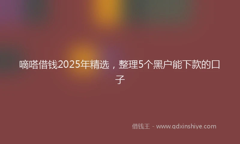 嘀嗒借钱2025年精选，整理5个黑户能下款的口子