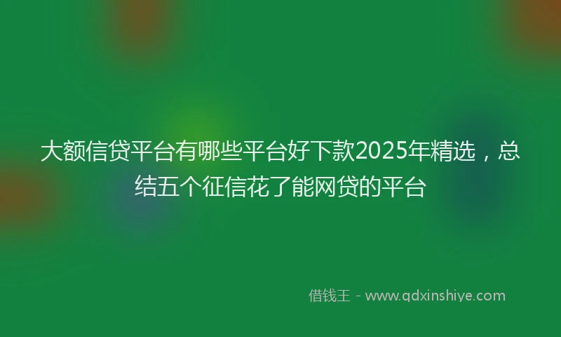 大额信贷平台有哪些平台好下款2025年精选，总结五个征信花了能网贷的平台