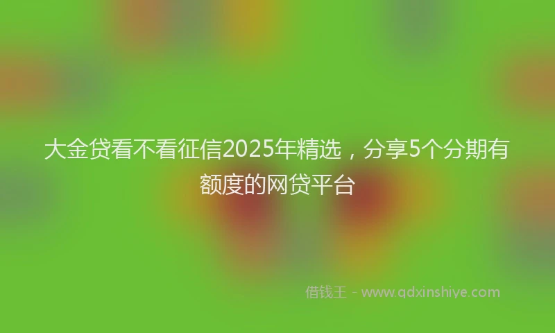 大金贷看不看征信2025年精选，分享5个分期有额度的网贷平台
